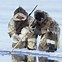 Image result for Inuit Tribe Location On Map