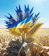 Image result for Ukraine Provinces Hoi4