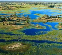 Image result for Okavango Inland Delta