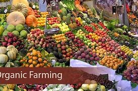 Image result for Farming Products