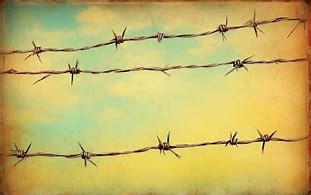 Image result for Clean Barbed Wire