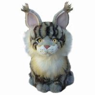 Image result for Maine Coon Cat Plush