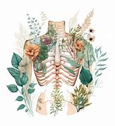 Image result for Osteon Anatomy Poster