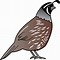 Image result for Quail No Background Clip Art