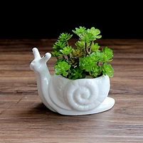 Image result for Cool Plant Pots