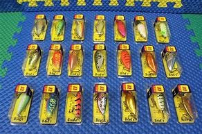 Image result for Brad's Lures