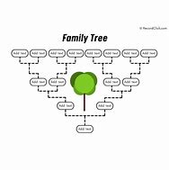 Image result for Small Family Tree Example