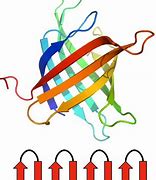 Image result for Protein Motif