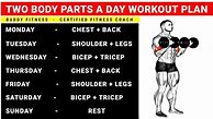 Image result for Different Parts of Body to Workout