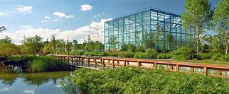 Image result for Parque Bicentenario Tapachula Chiapas