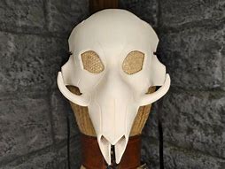 Image result for Bvear Skull Mask