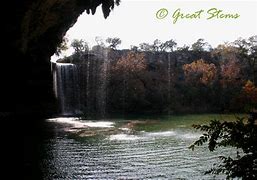 Image result for Hamilton Pool Nature Trail