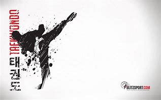 Image result for Taekwondo Wallpaper