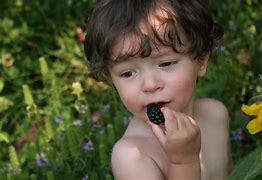 Image result for Taking Baby in Garden