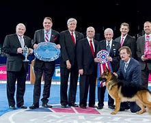 Image result for AKC Champions