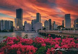 Image result for Downtown Miami Brickel