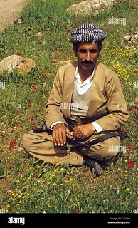 Image result for Kurdish Costume