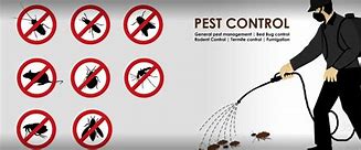 Image result for Pest Control Services Banner