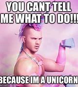 Image result for Unicorn Man Meme