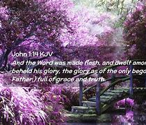 Image result for John 1:14 KJV