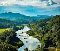 Image result for International Rivers Image