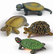 Image result for Yay Turtle