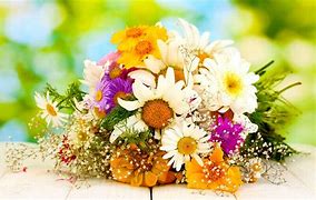 Image result for Bouquet 4K