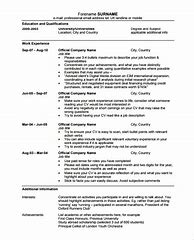 Image result for CV Example.pdf