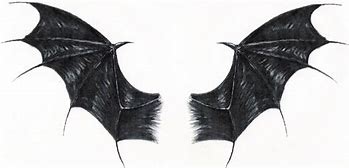 Image result for Painting Dragon Wing Art