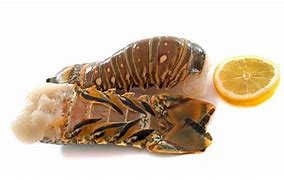 Image result for Lobster Tails