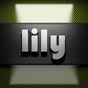 Image result for Lily Word Art