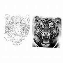 Image result for Tiger Tattoo Drawings and Sketches