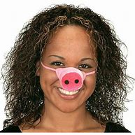 Image result for Pig Nose Toy