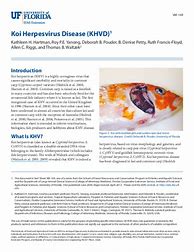 Image result for Koi Herpes Virus Vaccines