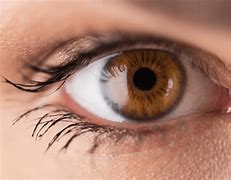 Image result for Red Hazel Eyes