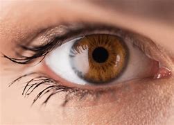 Image result for Black with Hazel Eyes