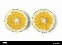 Image result for Citrust Triangle Grapefruit