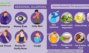 Image result for Home Remedies for Seasonal Allergies