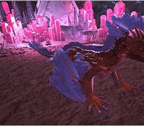 Image result for Rock Drake Saddle Ark