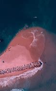 Image result for Pink Sand Beaches in Bahamas