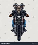 Image result for Goat On Motorcycle