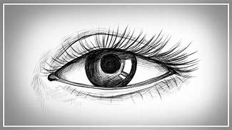 Image result for Realistic Eye