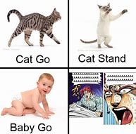 Image result for Jjba Cat Memes