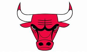 Image result for Bulls Football Logo