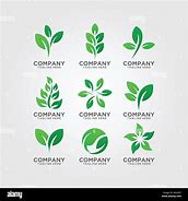 Image result for Leaf MB Logo