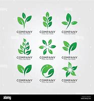 Image result for Leaf Logo HD