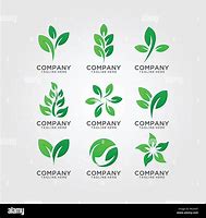 Image result for Cool Leaf Logo