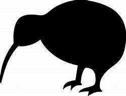 Image result for Kiwi Bird Fan Art