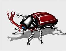 Image result for Kabuto Insect