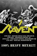 Image result for Raven Grey Singer